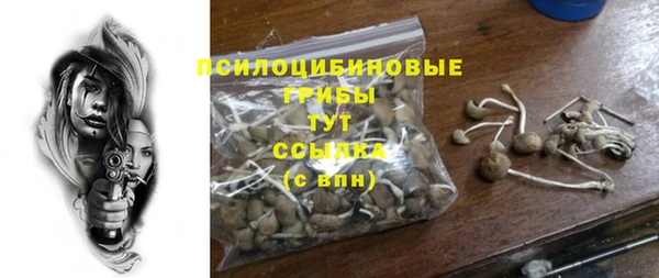 гидра Абинск