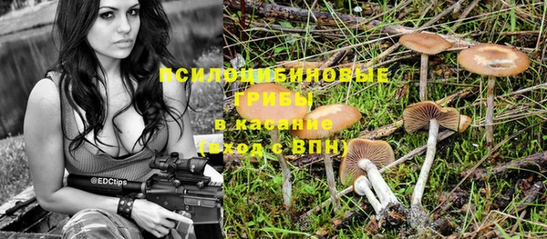 сатива Абаза