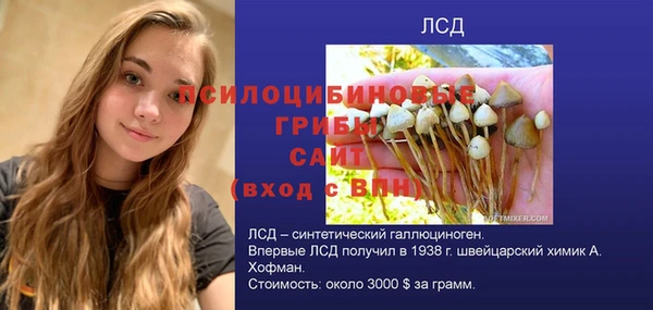 гидра Абинск