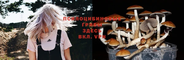 гидра Абинск