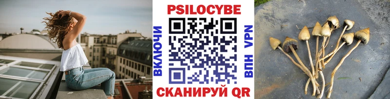 наркошоп  Ак-Довурак  Галлюциногенные грибы прущие грибы 